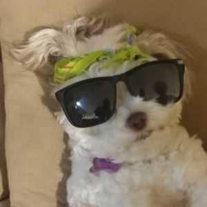 Meet your Posher, Milton